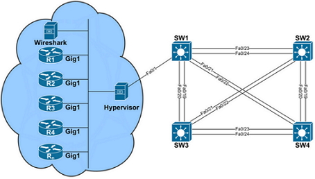 ine ccie lab