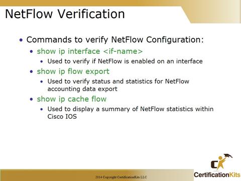 Cisco CCNA NetFlow Verification