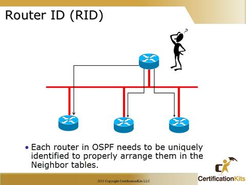 Cisco CCNA OSPF RID