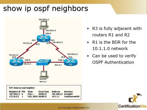 Cisco CCNA OSPF Neighbors