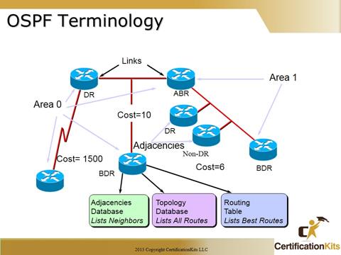 Cisco CCNA OSPF Terminology
