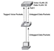 ccna voice switched infrastructure