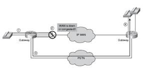 ccna voice voice ports