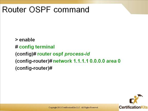 cisco-ccnp-route-ospf-1