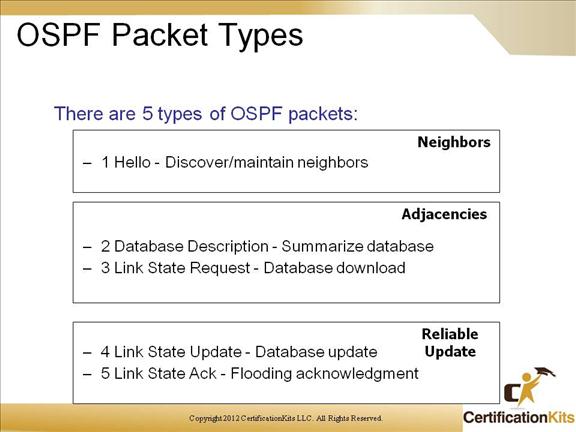 cisco-ccnp-route-ospf-6