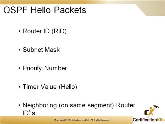 cisco-ccnp-route-ospf-8