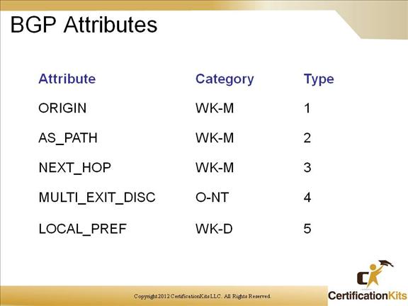 cisco-ccnp-route-bgp-01