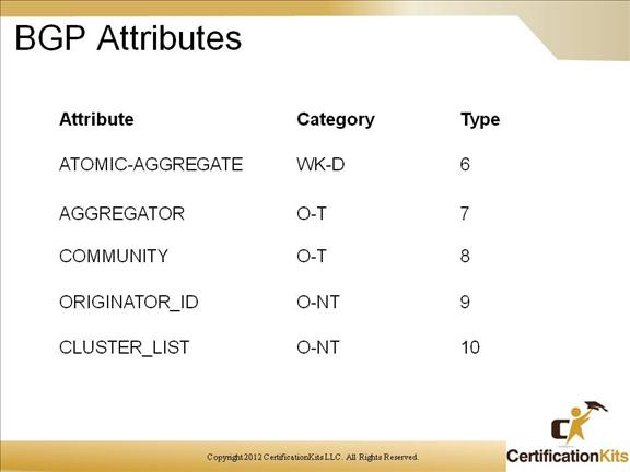 cisco-ccnp-route-bgp-02