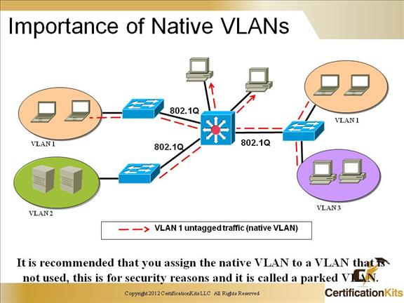 ccnp-switch-trunking-05