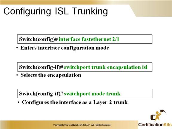 ccnp-switch-trunking-11