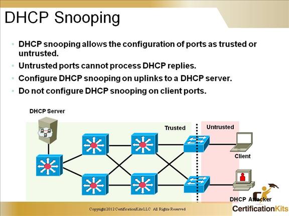 ccnp-switch-security-dhcp-2