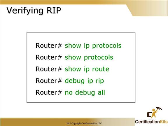 cisco-ccna-rip-08