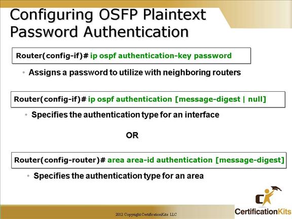 cisco-ccna-ospf-10